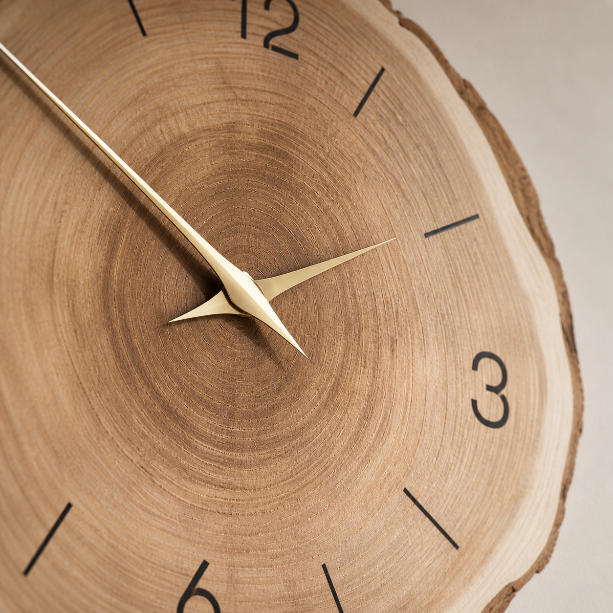 Horloge Murale Essence Nature